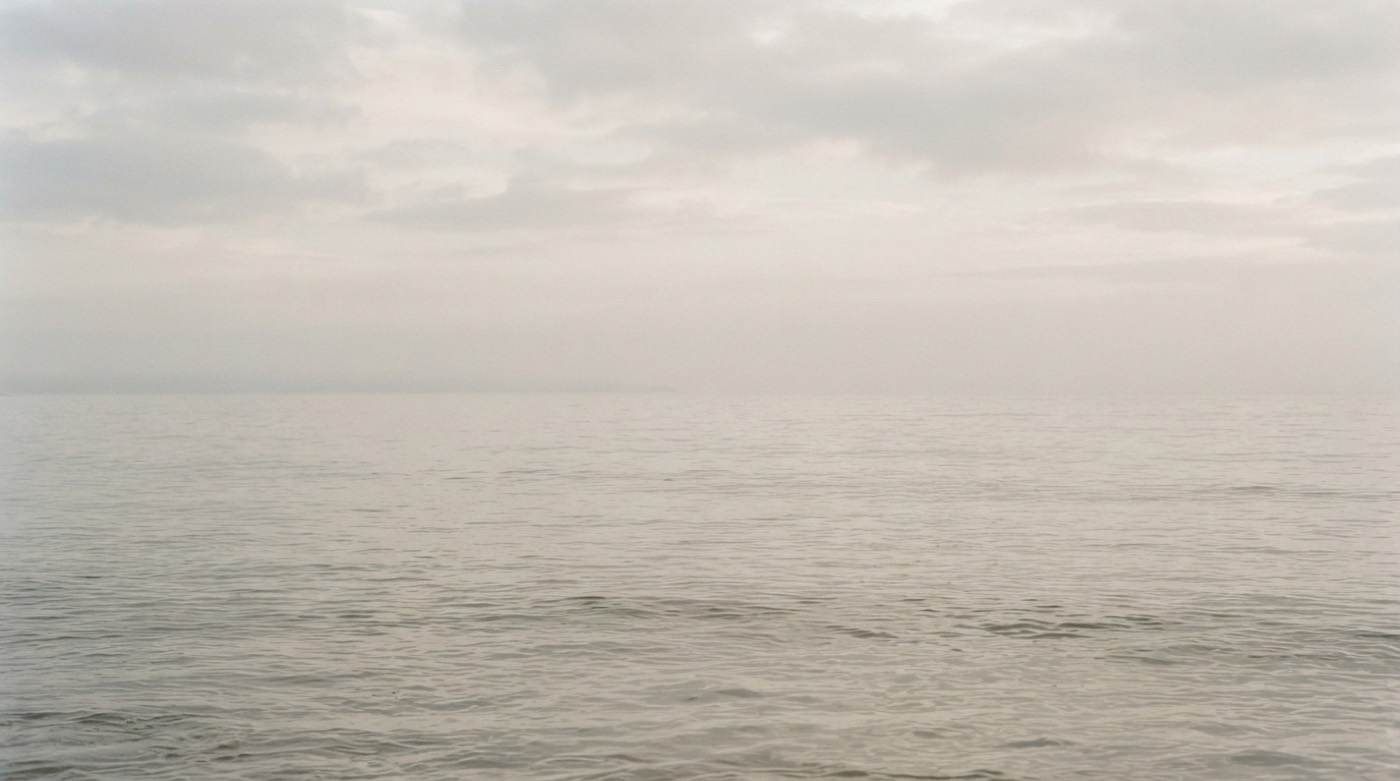 Tidewater — water imagery, graded cool